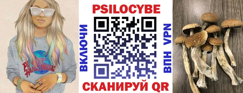 Псилоцибиновые грибы MAGIC MUSHROOMS  Купить закладки  Борисоглебск 